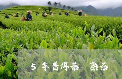 5年普洱茶 熟茶/2023041128302